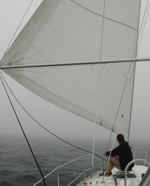 Whisker sail image